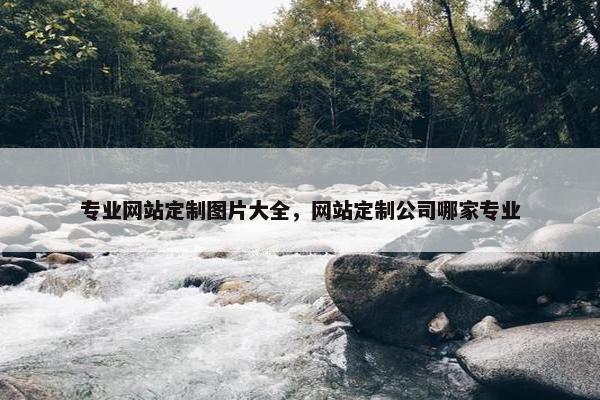 专业网站定制图片大全，网站定制公司哪家专业