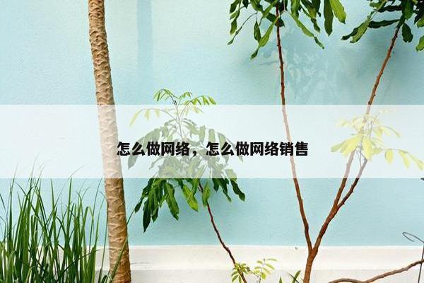 怎么做网络，怎么做网络销售