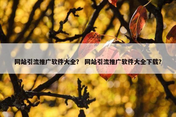 网站引流推广软件大全？ 网站引流推广软件大全下载？