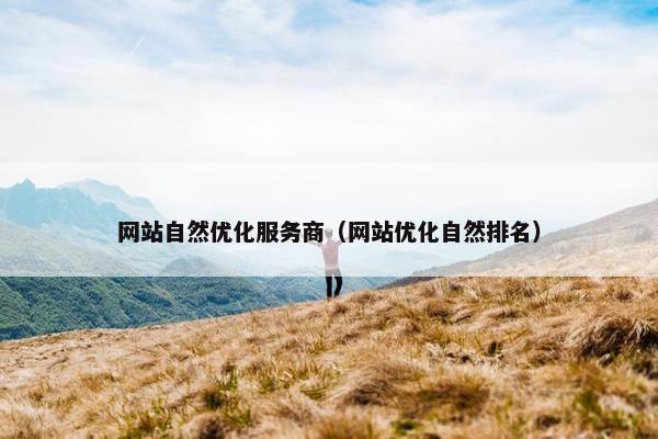 网站自然优化服务商（网站优化自然排名）