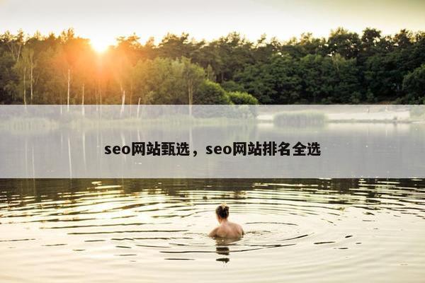 seo网站甄选，seo网站排名全选