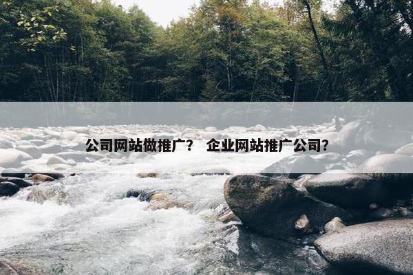 公司网站做推广？ 企业网站推广公司？