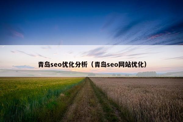 青岛seo优化分析（青岛seo网站优化）