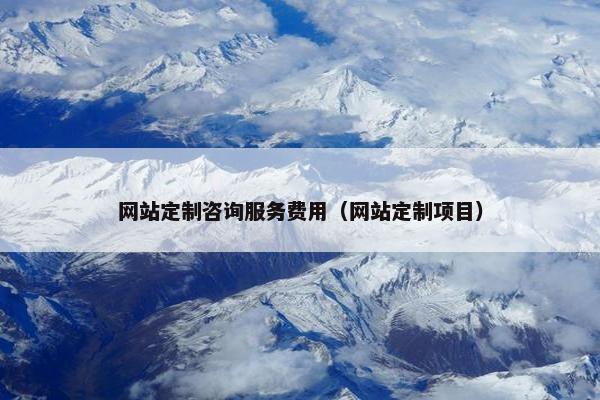 网站定制咨询服务费用（网站定制项目）