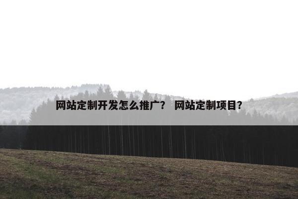 网站定制开发怎么推广？ 网站定制项目？