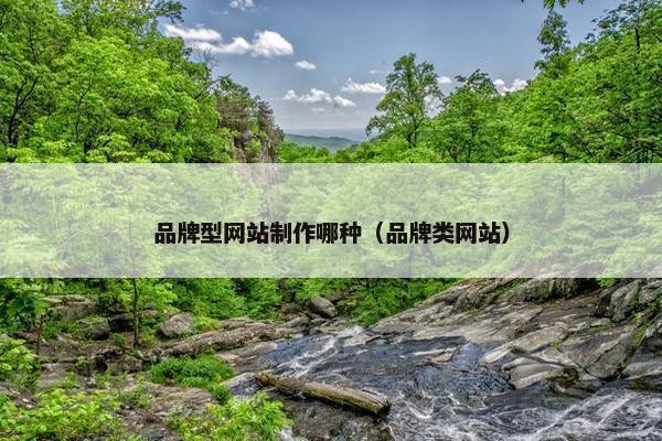 品牌型网站制作哪种（品牌类网站）