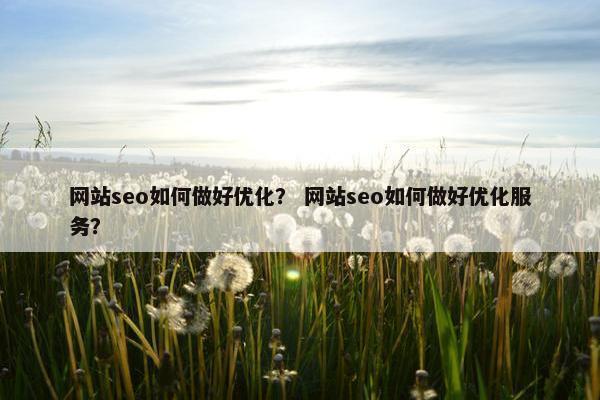 网站seo如何做好优化？ 网站seo如何做好优化服务？