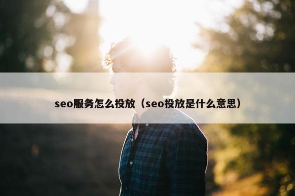 seo服务怎么投放（seo投放是什么意思）