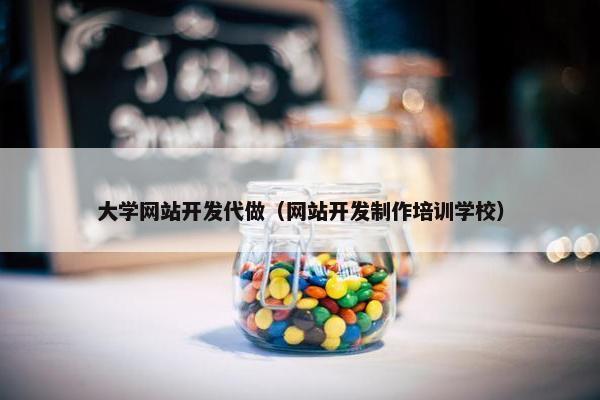大学网站开发代做（网站开发制作培训学校）