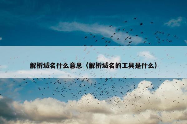 解析域名什么意思（解析域名的工具是什么）