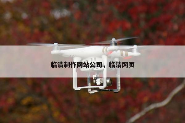 临清制作网站公司，临清网页