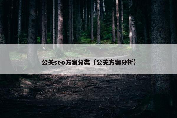 公关seo方案分类（公关方案分析）