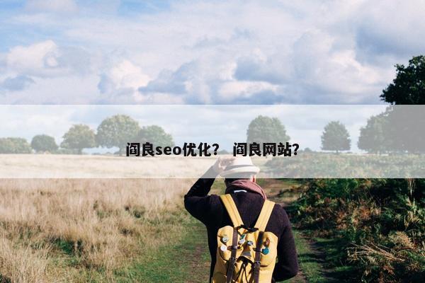 阎良seo优化？ 阎良网站？