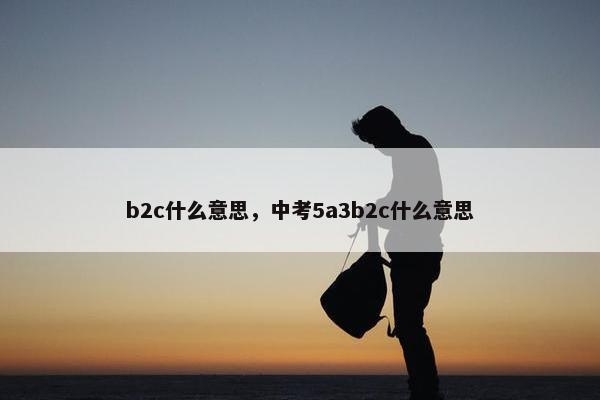 b2c什么意思，中考5a3b2c什么意思