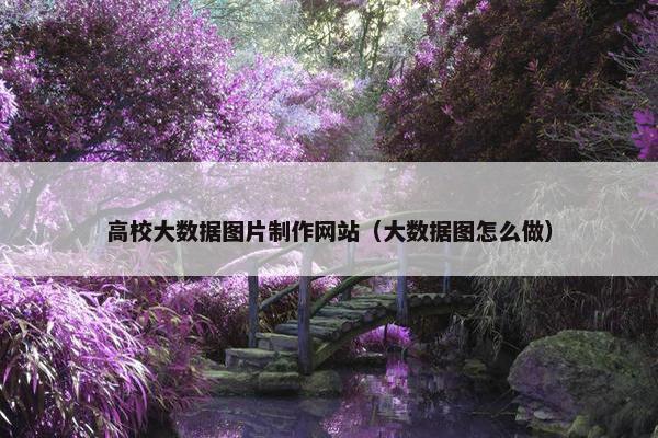 高校大数据图片制作网站（大数据图怎么做）