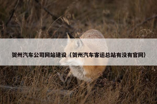 贺州汽车公司网站建设（贺州汽车客运总站有没有官网）