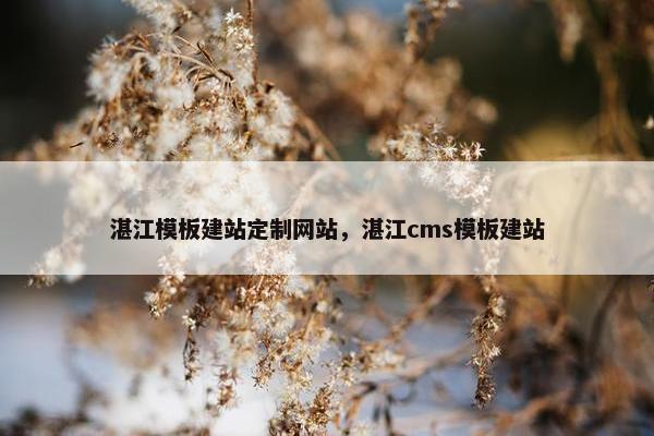 湛江模板建站定制网站，湛江cms模板建站