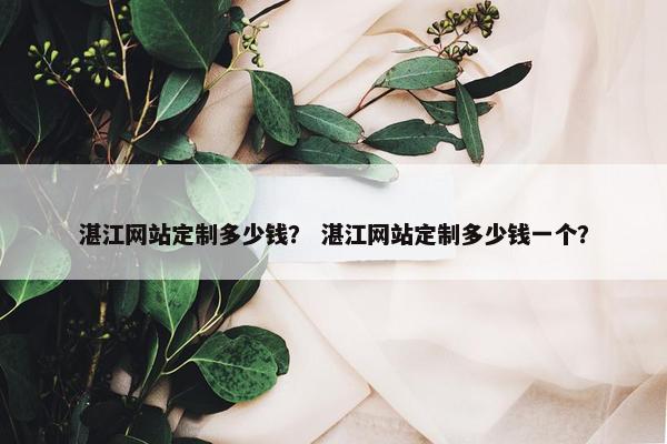 湛江网站定制多少钱？ 湛江网站定制多少钱一个？