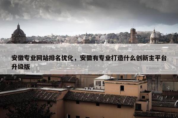 安徽专业网站排名优化，安徽有专业打造什么创新主平台升级版