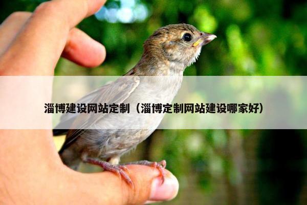 淄博建设网站定制（淄博定制网站建设哪家好）