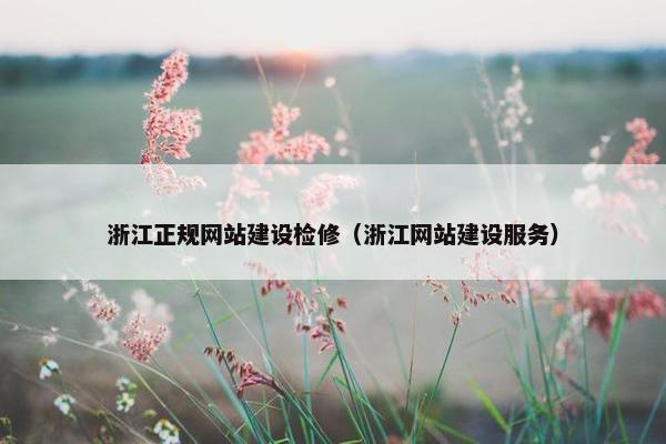 浙江正规网站建设检修（浙江网站建设服务）