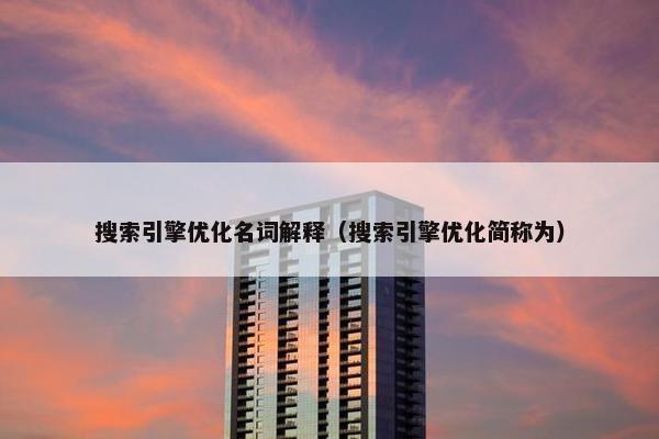 搜索引擎优化名词解释（搜索引擎优化简称为）