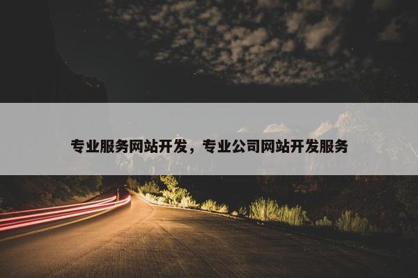 专业服务网站开发，专业公司网站开发服务