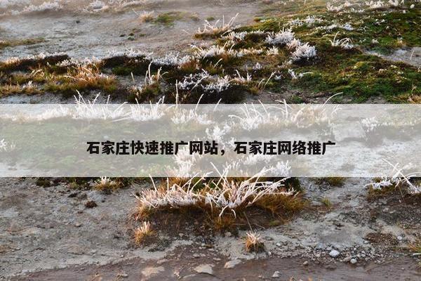 石家庄快速推广网站，石家庄网络推广