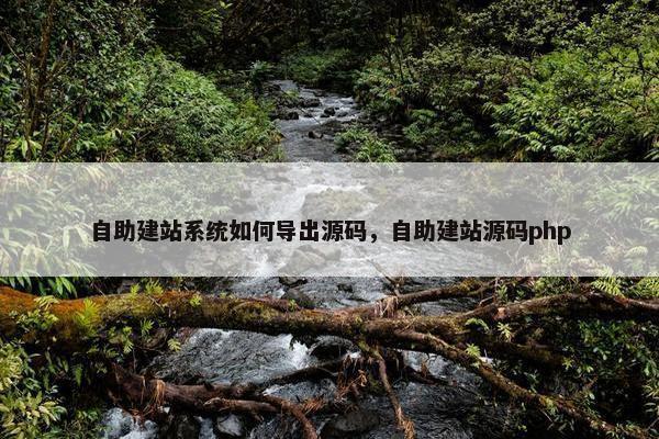 自助建站系统如何导出源码，自助建站源码php