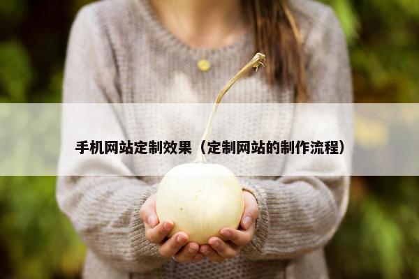 手机网站定制效果（定制网站的制作流程）