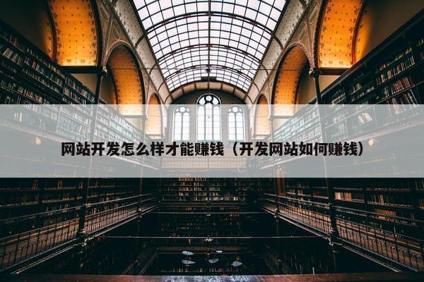 网站开发怎么样才能赚钱（开发网站如何赚钱）
