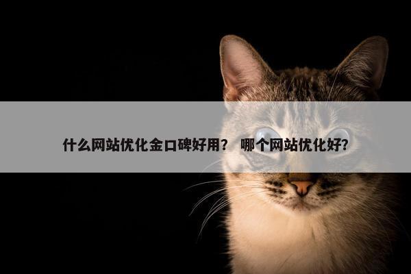 什么网站优化金口碑好用？ 哪个网站优化好？
