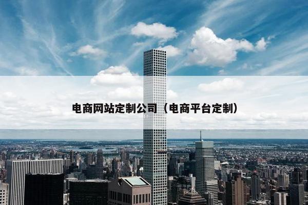 电商网站定制公司（电商平台定制）