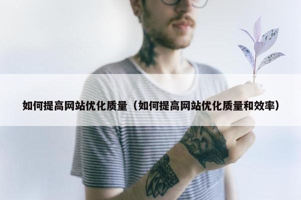 如何提高网站优化质量（如何提高网站优化质量和效率）